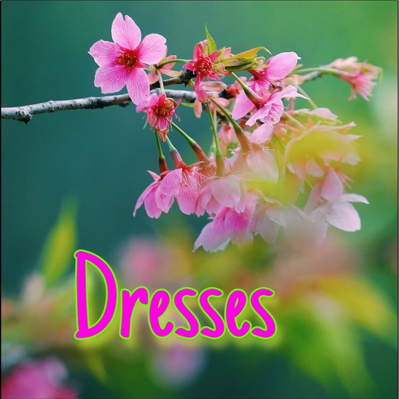 Dresses - Picture 2 of 4